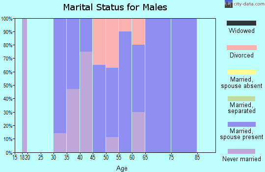 Zip code 52650 marital status for males