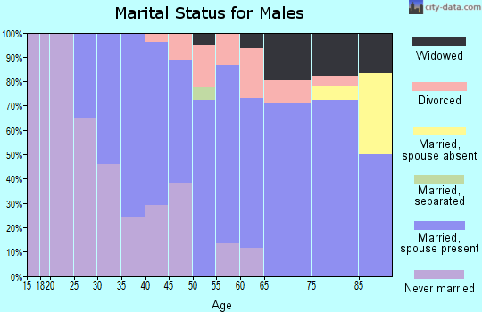 Zip code 52653 marital status for males
