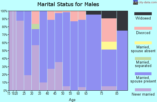 Zip code 52654 marital status for males