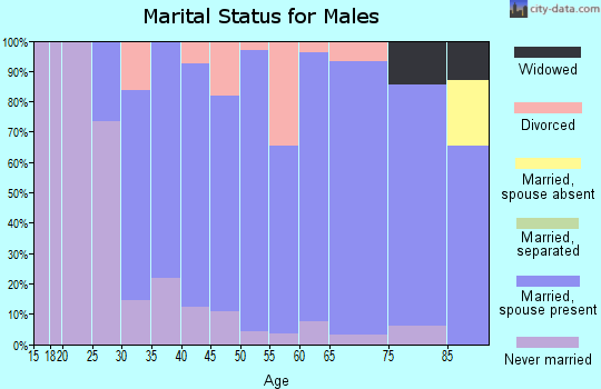 Zip code 52656 marital status for males