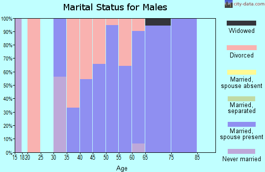 Zip code 52658 marital status for males