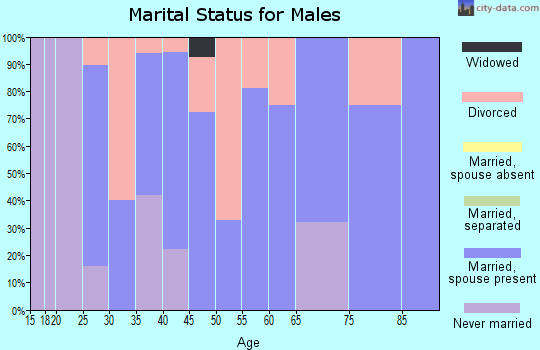 Zip code 52720 marital status for males