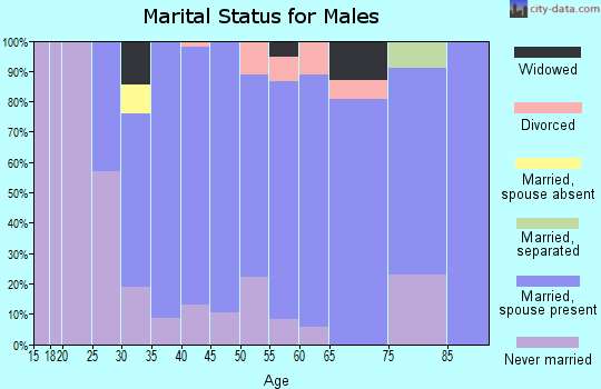 Zip code 52721 marital status for males
