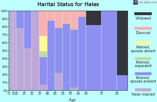 Zip code 52728 marital status for males