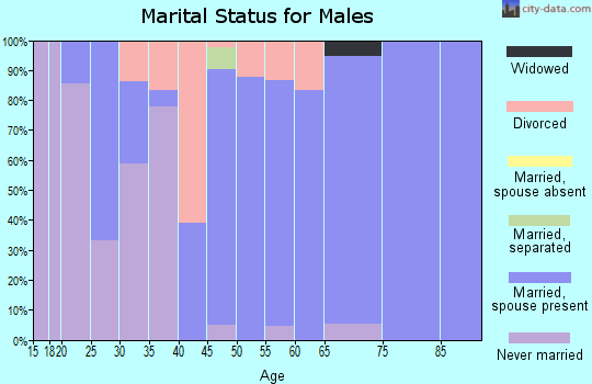 Zip code 52729 marital status for males