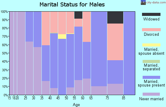 Zip code 52730 marital status for males
