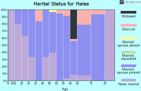 Zip code 52731 marital status for males