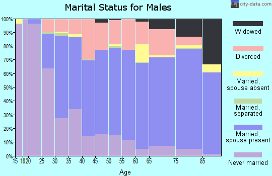 Zip code 52732 marital status for males