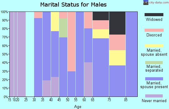 Zip code 52737 marital status for males