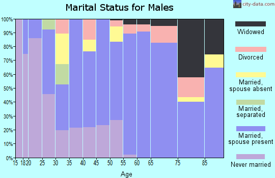 Zip code 52738 marital status for males