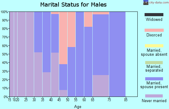 Zip code 52739 marital status for males