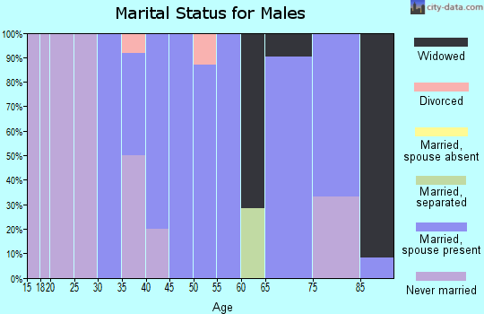 Zip code 52745 marital status for males