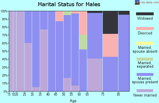 Zip code 52746 marital status for males