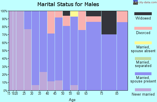 Zip code 52747 marital status for males