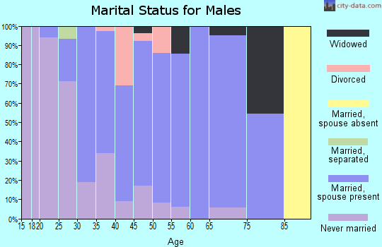 Zip code 52748 marital status for males