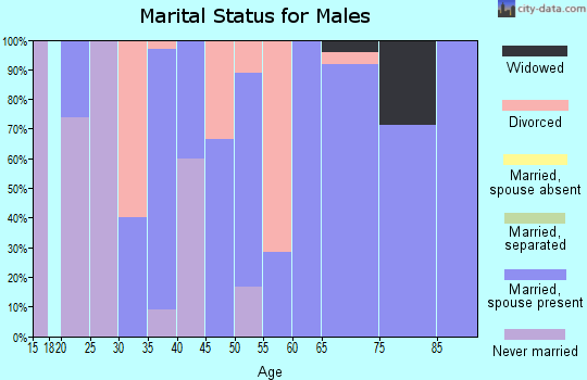 Zip code 52752 marital status for males