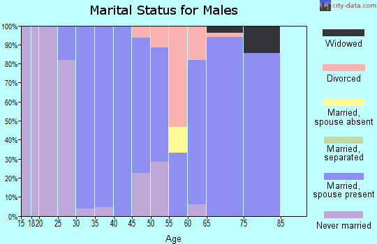 Zip code 52754 marital status for males