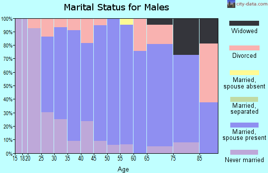 Zip code 52755 marital status for males