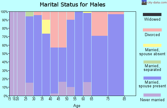 Zip code 52756 marital status for males