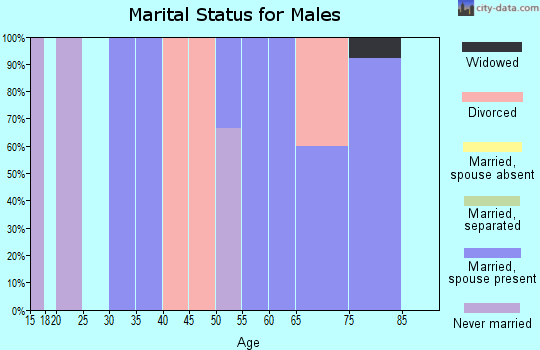 Zip code 52757 marital status for males