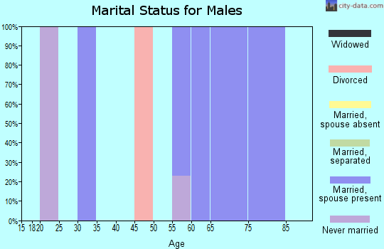 Zip code 52760 marital status for males