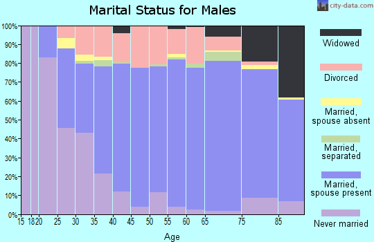 Zip code 52761 marital status for males