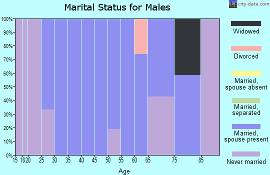 Zip code 52765 marital status for males