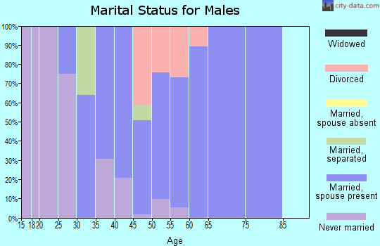 Zip code 52766 marital status for males