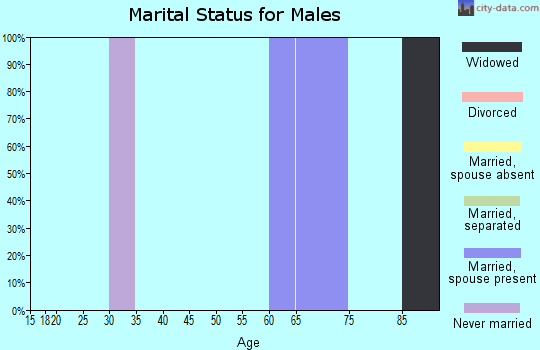 Zip code 52767 marital status for males