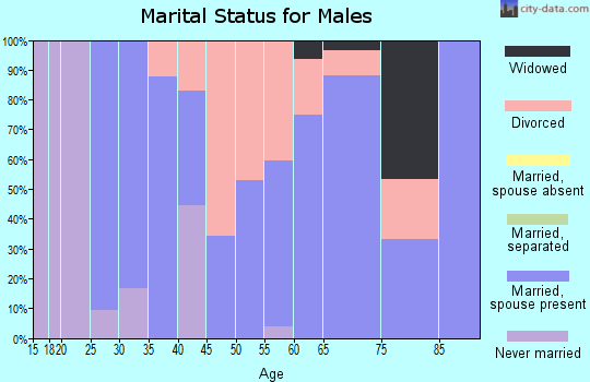 Zip code 52768 marital status for males