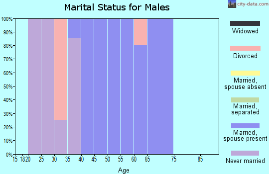 Zip code 52774 marital status for males