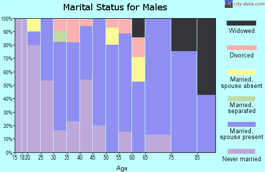 Zip code 52776 marital status for males