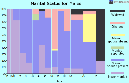 Zip code 52777 marital status for males