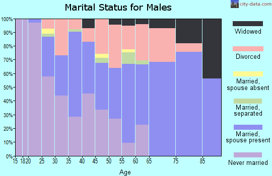 Zip code 52802 marital status for males