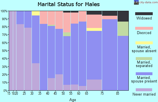 Zip code 53011 marital status for males