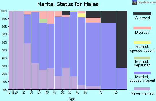 Zip code 53013 marital status for males