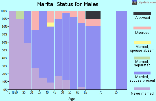 Zip code 53017 marital status for males
