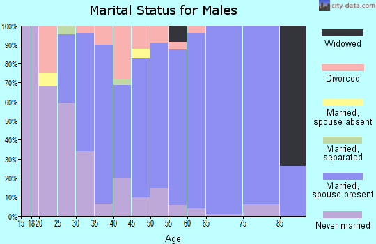 Zip code 53019 marital status for males
