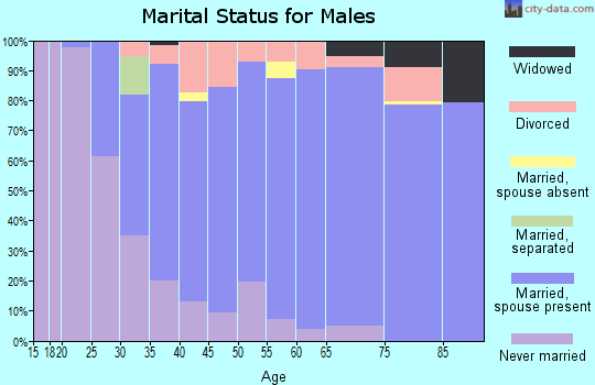 Zip code 53022 marital status for males