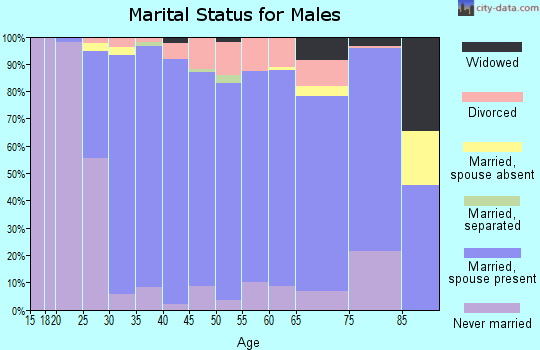 Zip code 53029 marital status for males