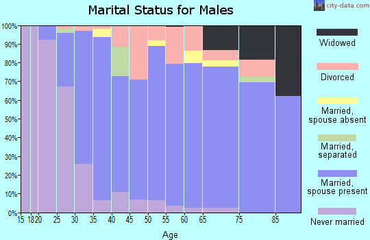 Zip code 53032 marital status for males