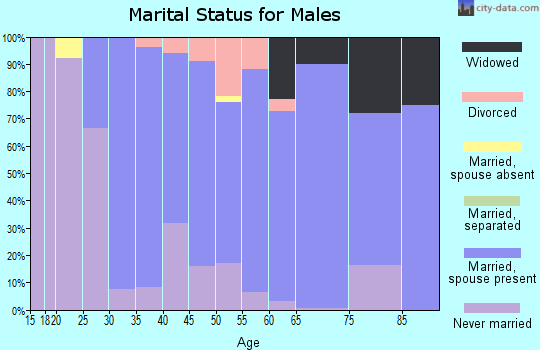 Zip code 53033 marital status for males