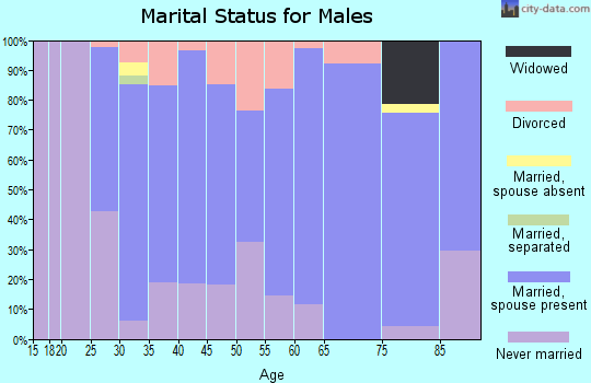 Zip code 53038 marital status for males