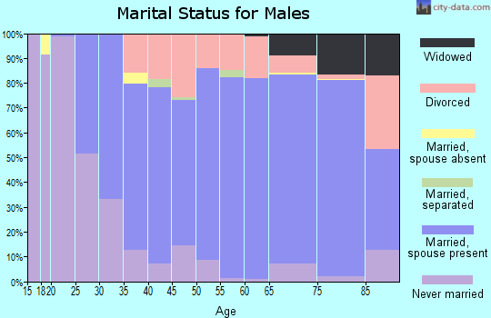 Zip code 53040 marital status for males