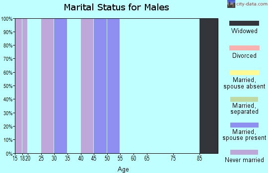 Zip code 53047 marital status for males