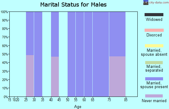 Zip code 53069 marital status for males