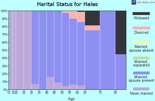 Zip code 53076 marital status for males