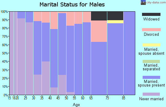 Zip code 53078 marital status for males