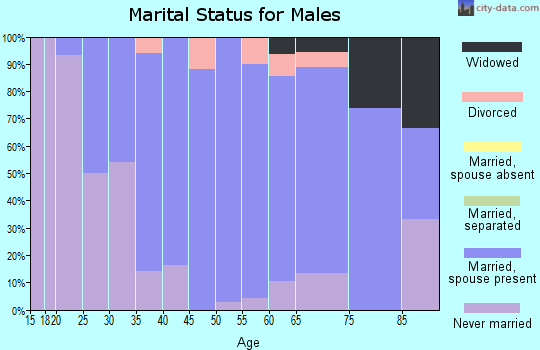 Zip code 53079 marital status for males