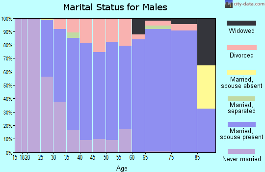 Zip code 53080 marital status for males